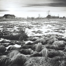 Zimní krajina