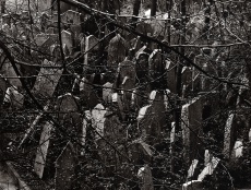 Židovský hřbitov
