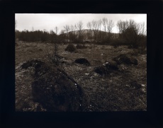Skuhrov