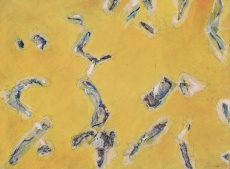 Studium pádu věcí