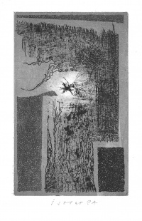 Franz Kafka - Z deníků VI.