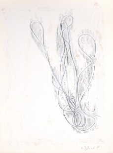 Lea