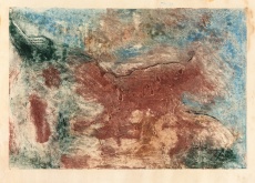 Zahrada