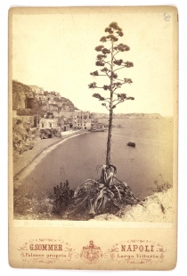 Napoli, Largo Vittoria