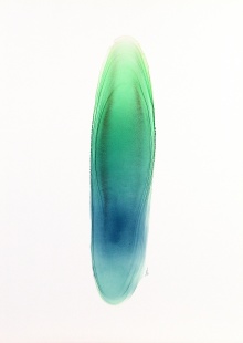 Oliva