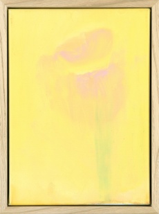 Bez názvu (172)
