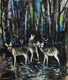 Look My Deer