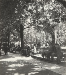 Kampa