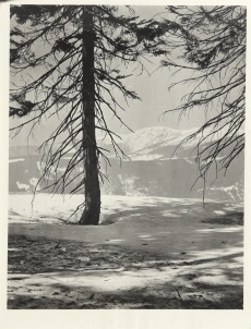 Krkonoše