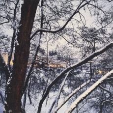 Praha od Kampy