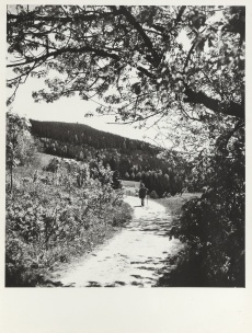 Krkonoše