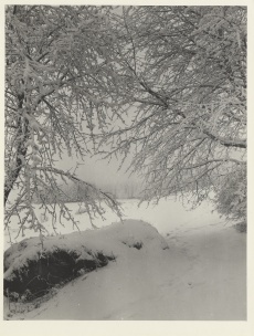 Krkonoše