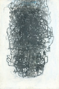 Černé křoví