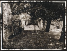 Chateau de Christian Dior