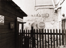 Z cyklu Z pražských dvorků a zahrad