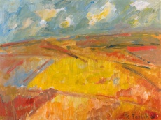 Červené pole