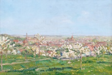 Hořice