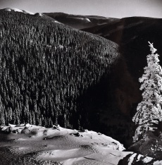 Krkonoše