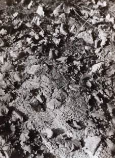 Konvolut, 8 ks