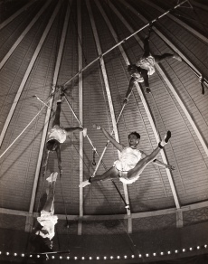Cirkus, 12 ks