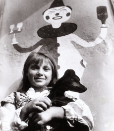 Cirkus Dolfini