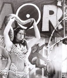 Lunapark