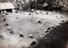 Řád