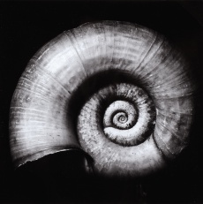 Spirála – šnek