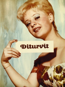 Diturvit
