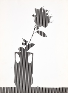 Rose Solaris