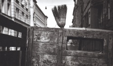 Svoboda