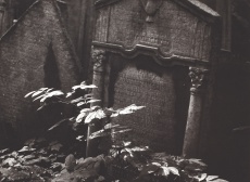 Židovský hřbitov