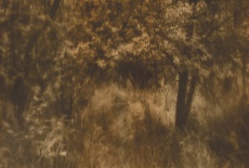Krajina