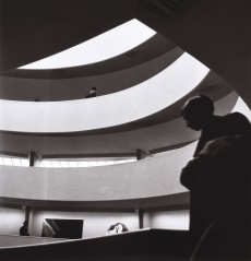 Guggenheim Museum