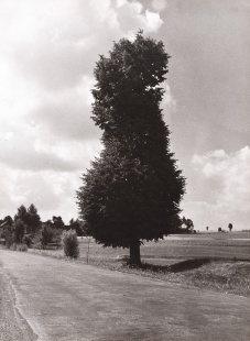 Strom, Magritte