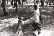 Bois de Boulogne