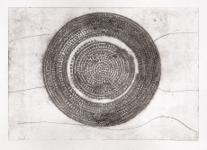 Disk