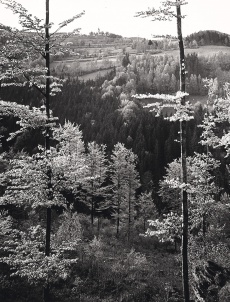 Krkonoše