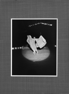 Cirkus Humberto