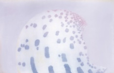 Vlna