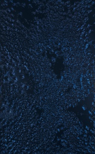 Kosmos