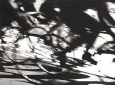 Cyklisti
