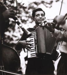Harmonikář