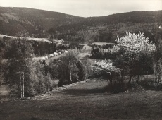 Jizerské hory