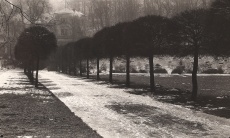 Stromořadí