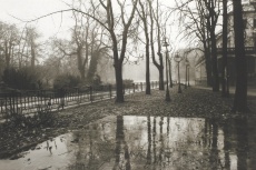 Park