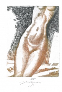 Žena
