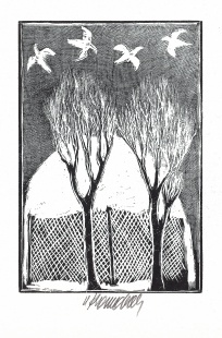 Zima