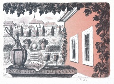 Oslava