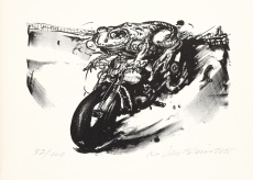 Žába na motorce